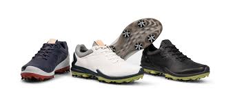 Ecco Biom G3